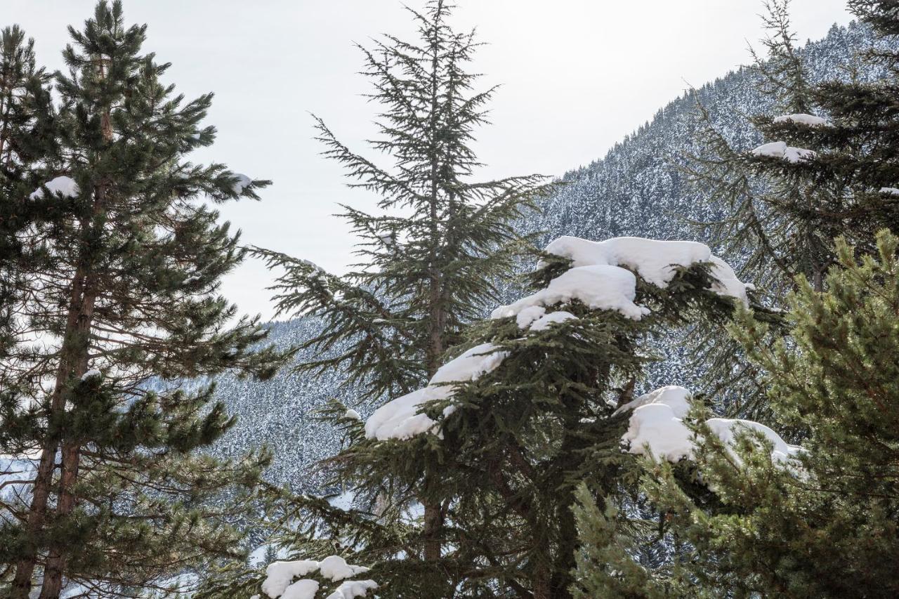 Apartamento Renovado Baqueira 1500 Διαμέρισμα Naut Aran Εξωτερικό φωτογραφία